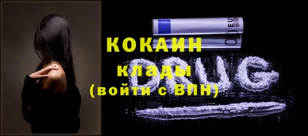 ГАЛЛЮЦИНОГЕННЫЕ ГРИБЫ Наволоки