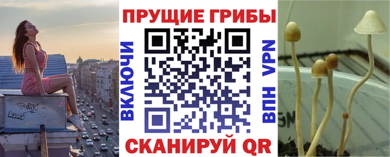 Псилоцибиновые грибы GOLDEN TEACHER  Красавино 